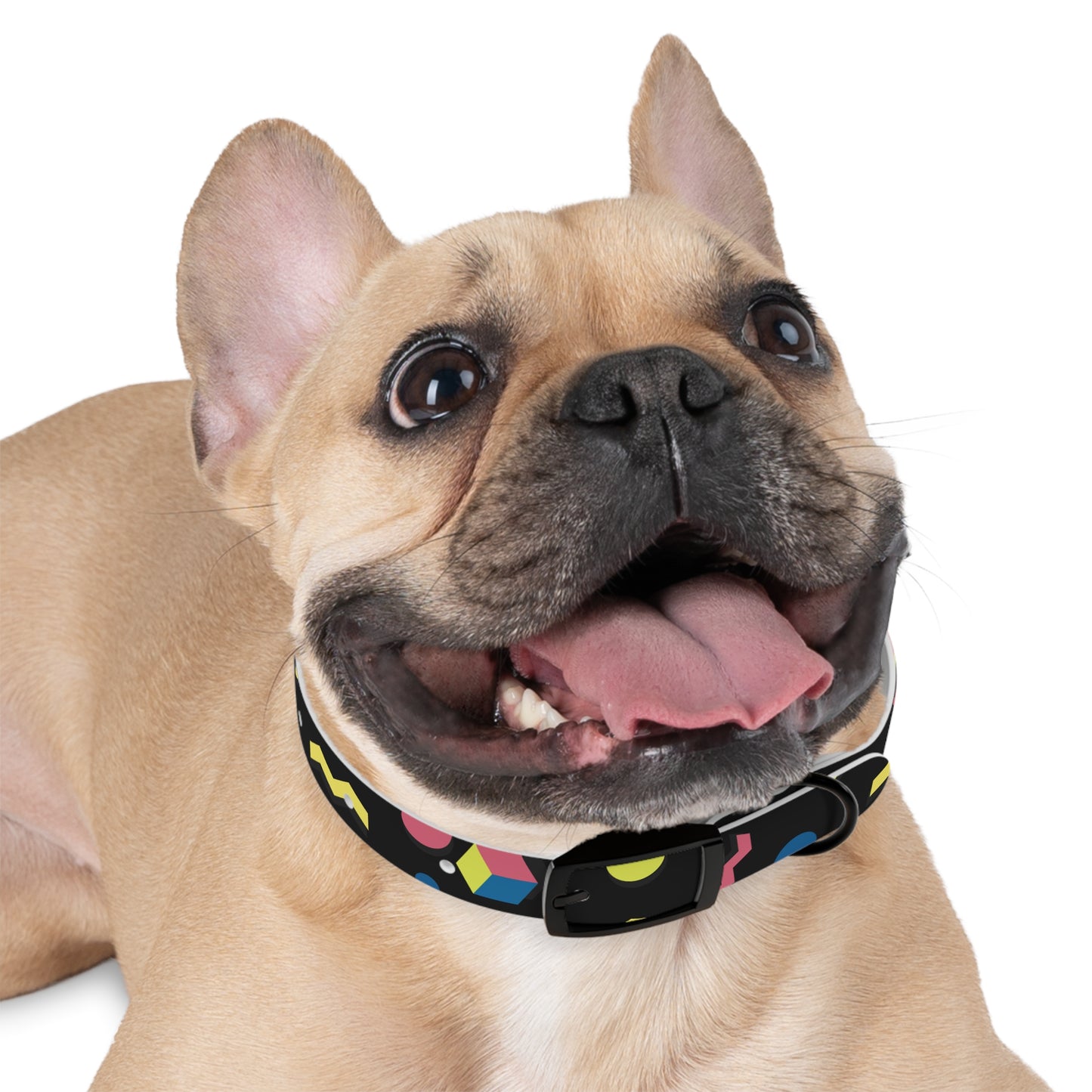 Colorful Geometric Dog Collar
