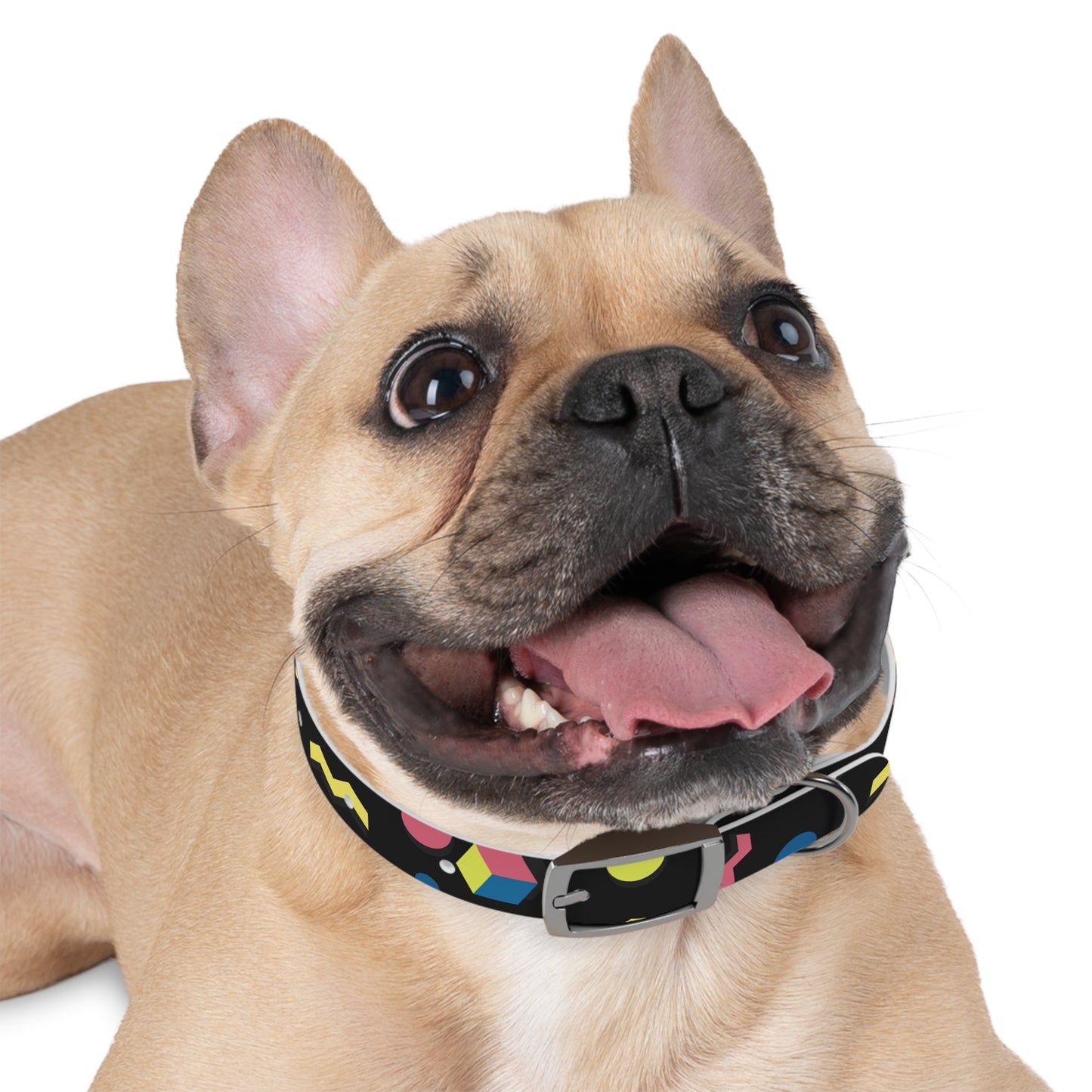 Colorful Geometric Dog Collar