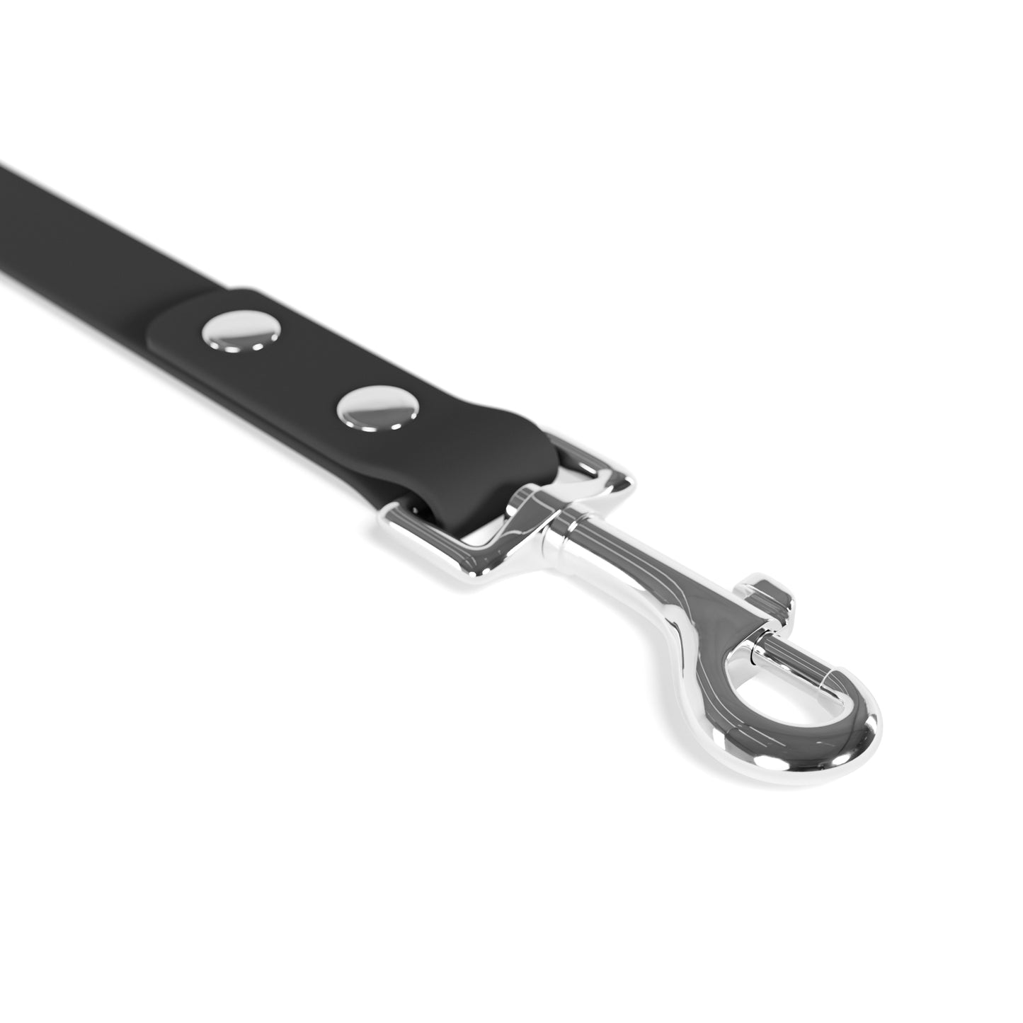 Colorful Graphic Dog Leash