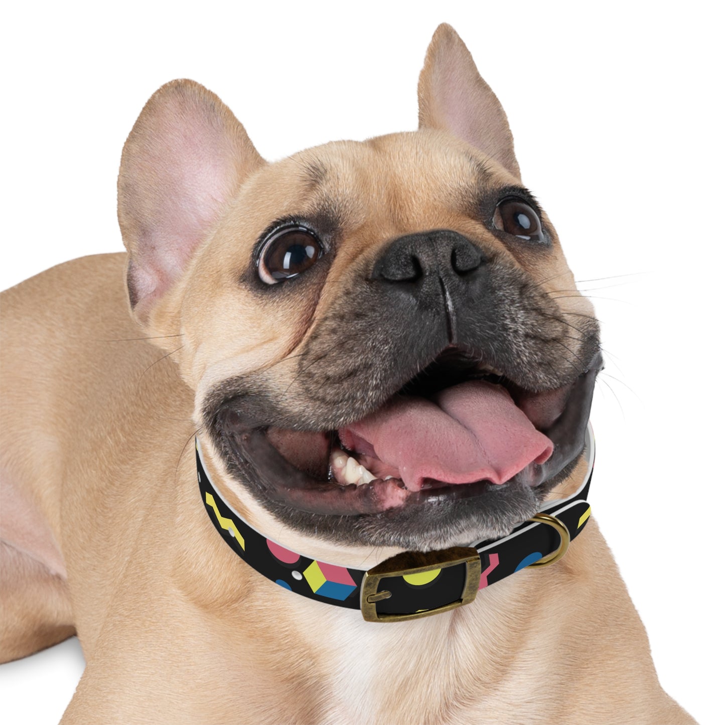 Colorful Geometric Dog Collar