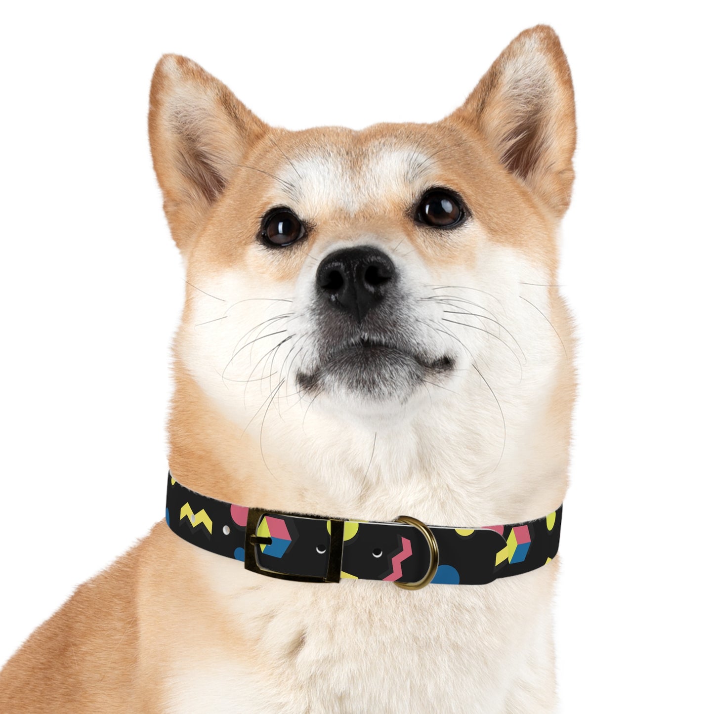 Colorful Geometric Dog Collar