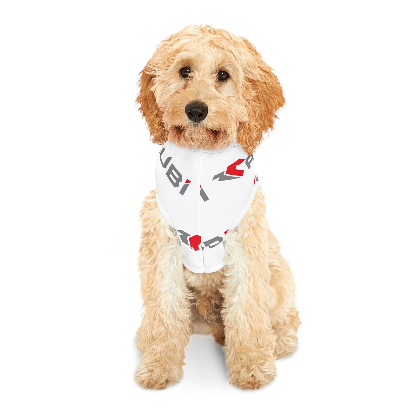 Pet Hoodie