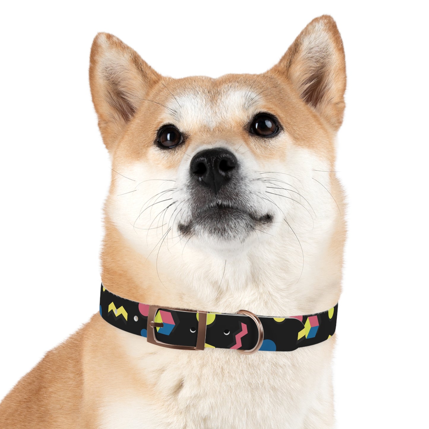 Colorful Geometric Dog Collar