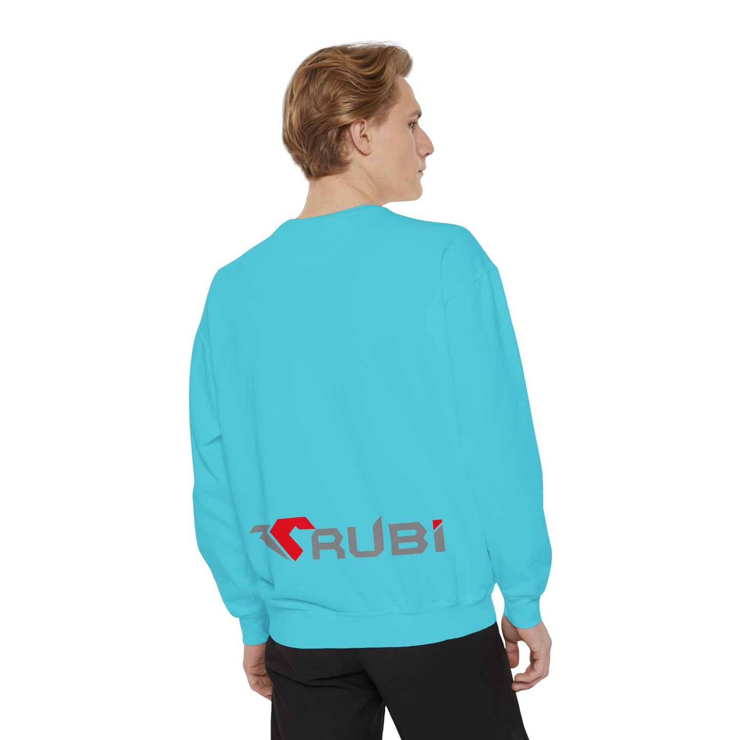 Garment Sweatshirt