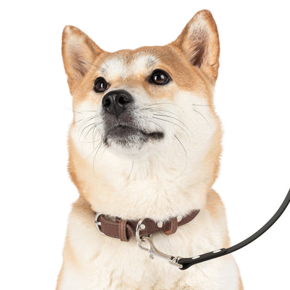 Colorful Graphic Dog Leash
