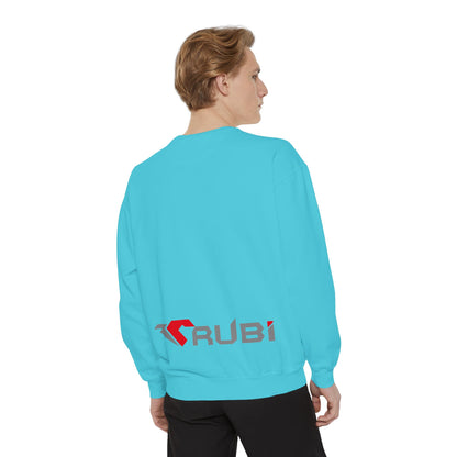Garment Sweatshirt